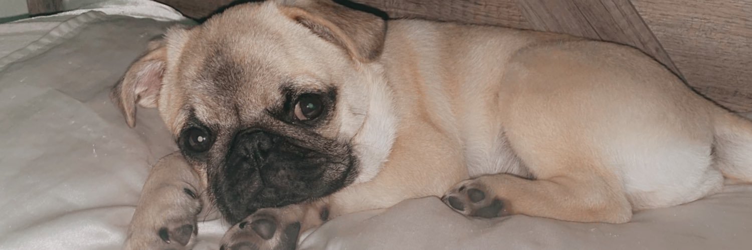 aaaallex_'s profile banner image