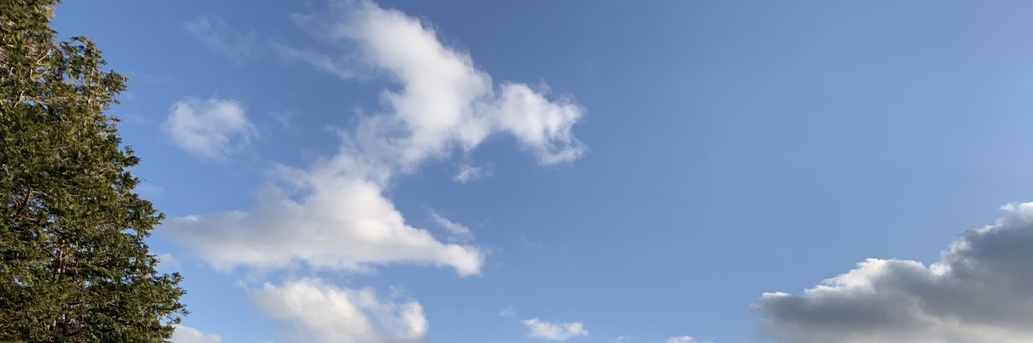 _T___A_'s profile banner image