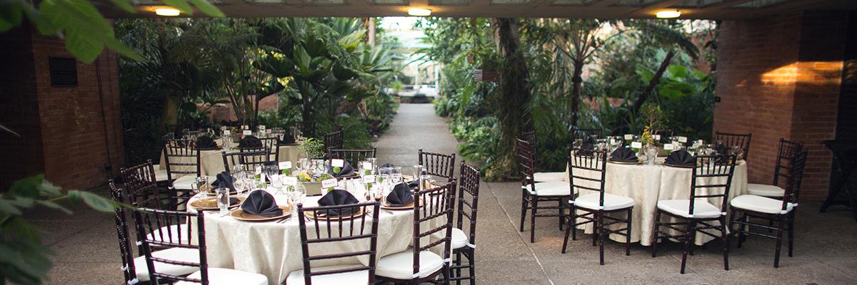 AngelCaterInc's profile banner image