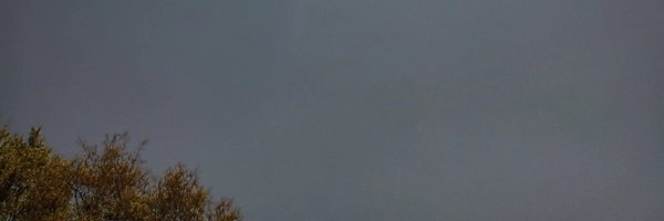allylovesrep Profile Banner