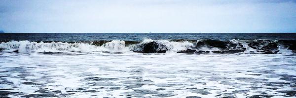 CherieRebar Profile Banner