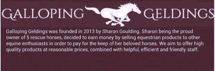 galloping geldings banner