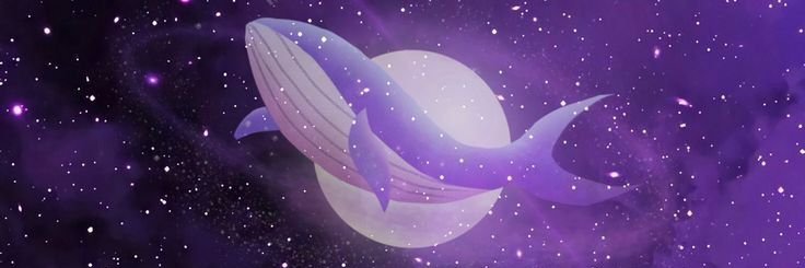 SaJSuMa's profile banner image