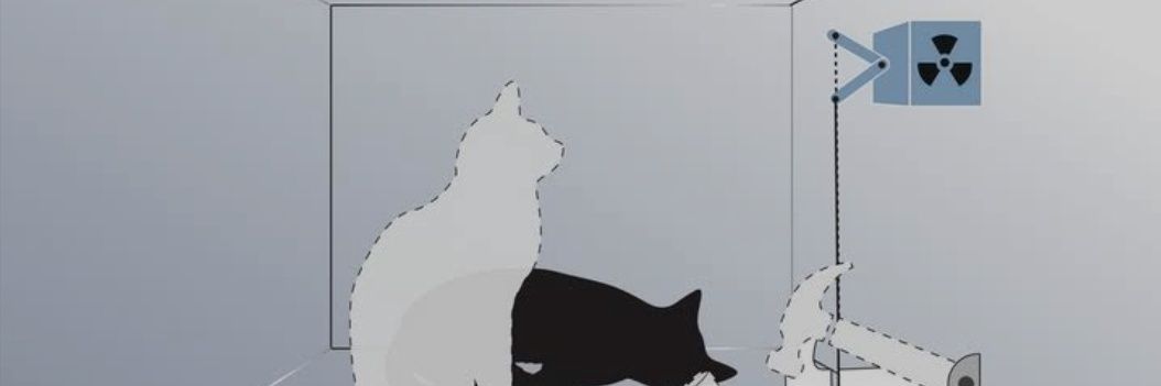 猫耳大学 元 総長 banner