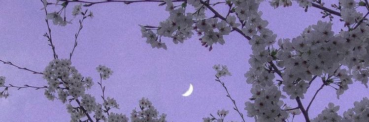 29_mariaa's profile banner image
