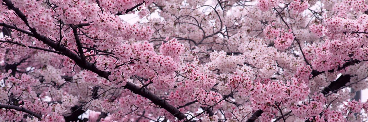 Colin Wheeler　コーリン banner