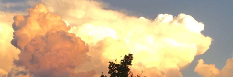 staash13's profile banner image