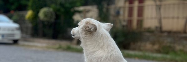 Ssk_Trades Profile Banner