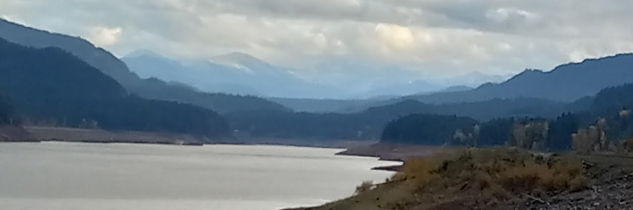 Kalamadea One banner