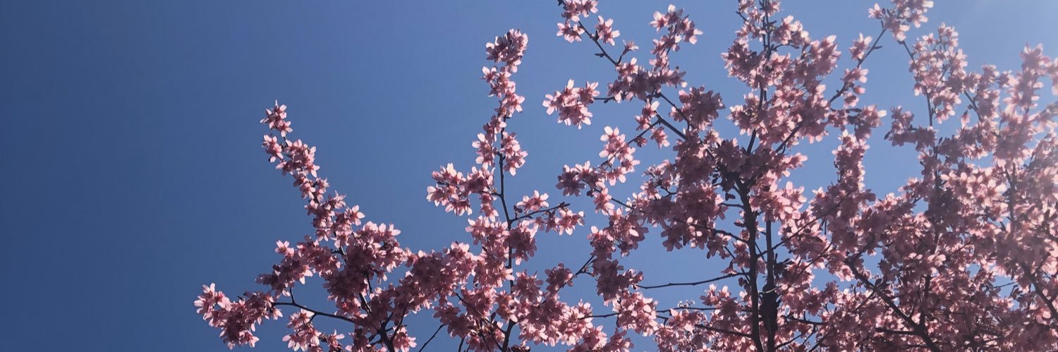 butmetho's profile banner image