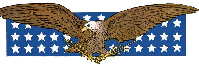Nigam!🇺🇸 banner