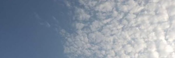 farouzfrosh41 Profile Banner