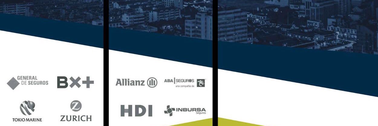 MutualCo's profile banner image