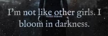 emkaufman97's profile banner image