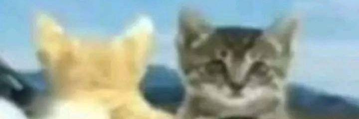 5_fpss's profile banner image