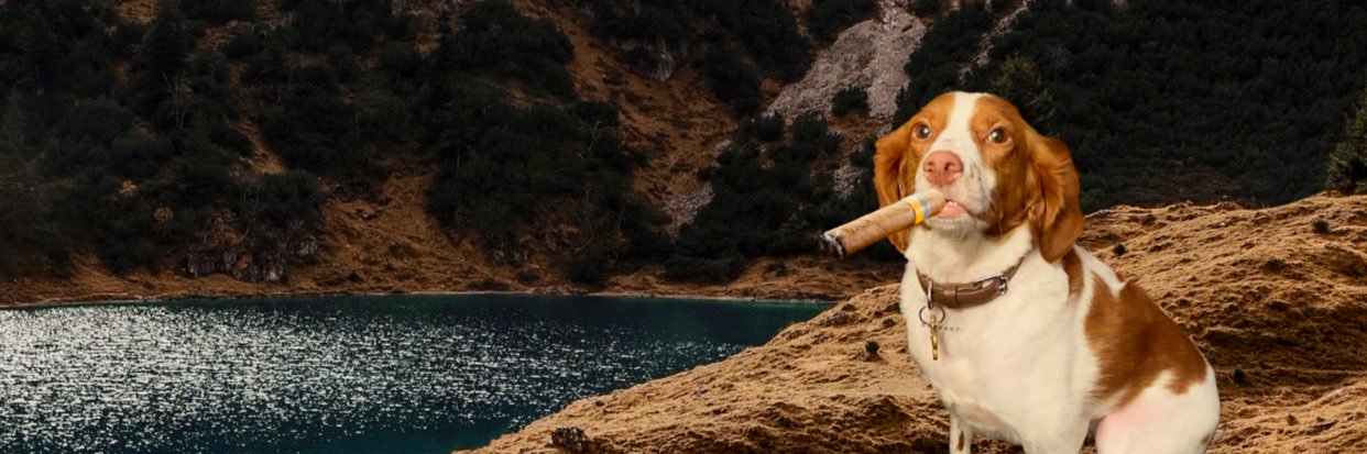 Brandon90sKid's profile banner image