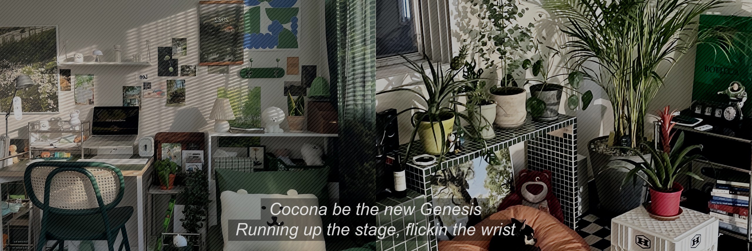 CoconaaXG's profile banner image