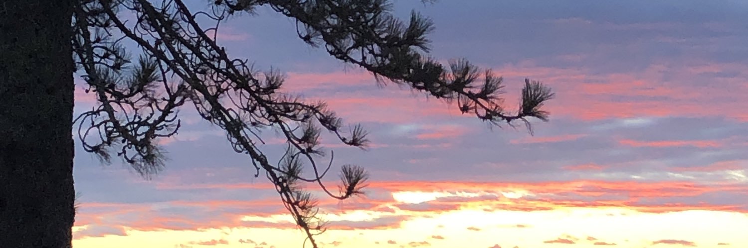 bearshapedspher's profile banner image