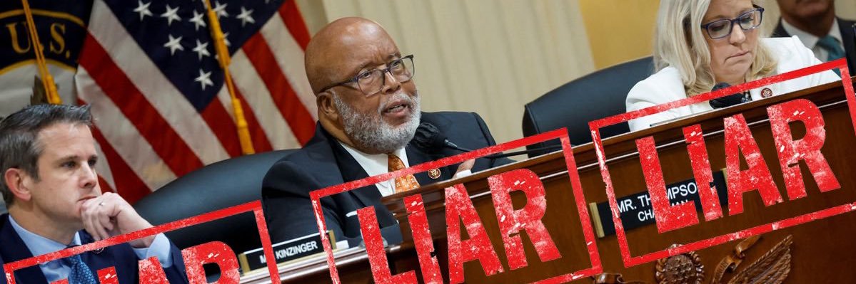 MAGA RegularAmerican Woman🍊 banner