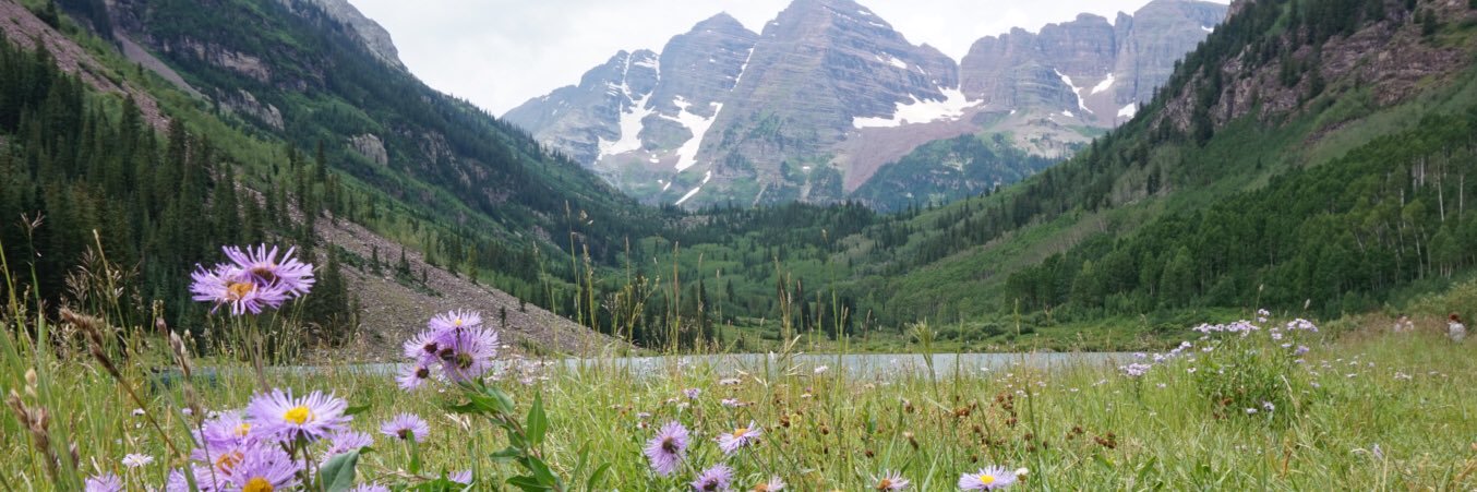 Bridget Coyne banner