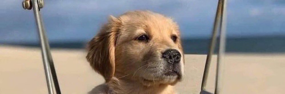 Elevator Gossip banner