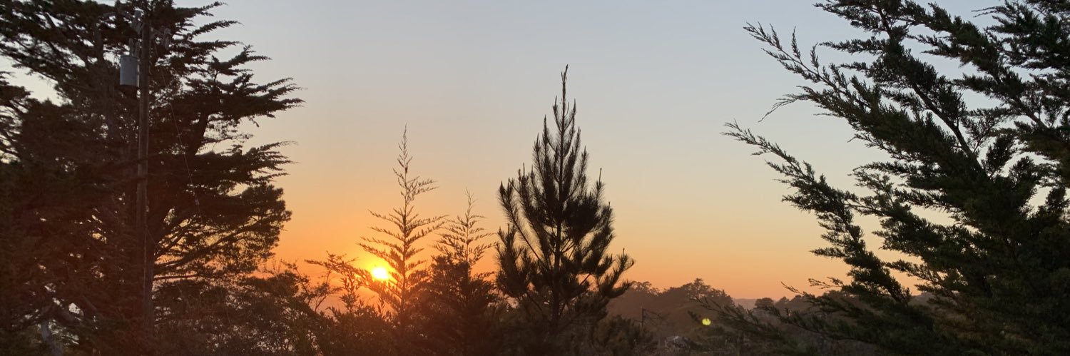 doncameron's profile banner image
