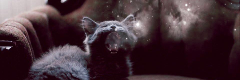 kevindsva's profile banner image