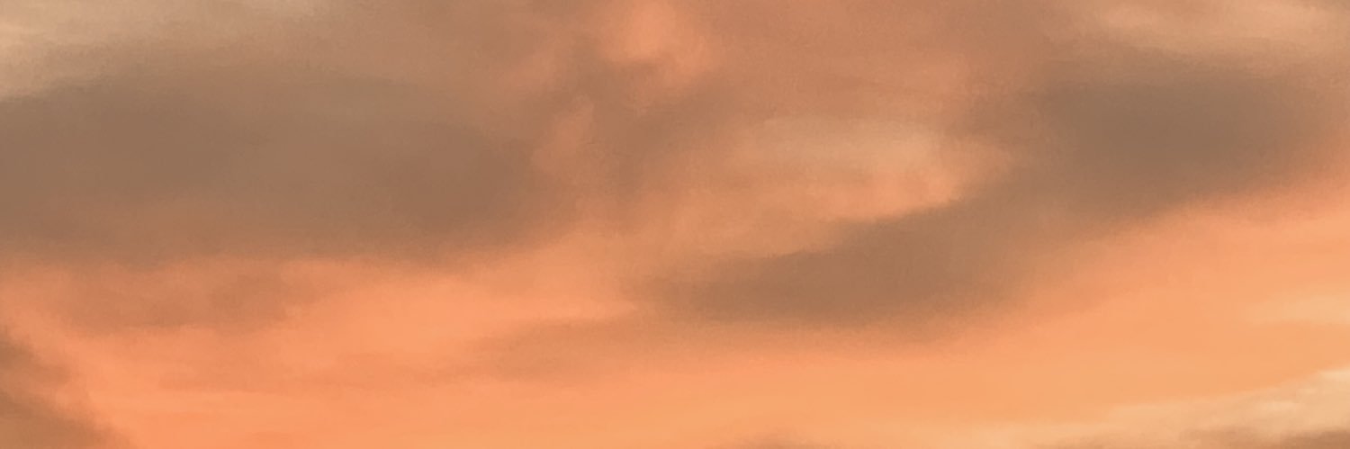 Robert Bim banner