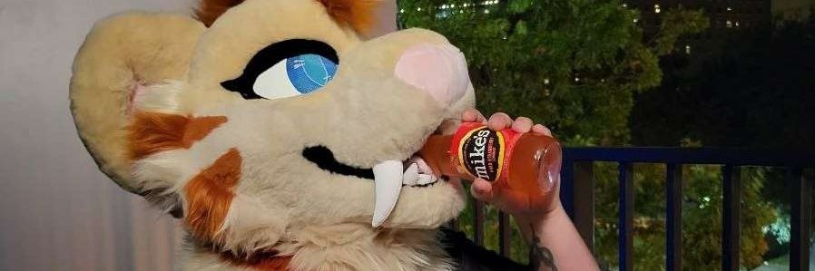 Sab-Bab Saber 🐯 🤠⚡ banner