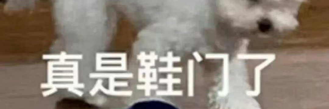 beyondliuyanyan's profile banner image