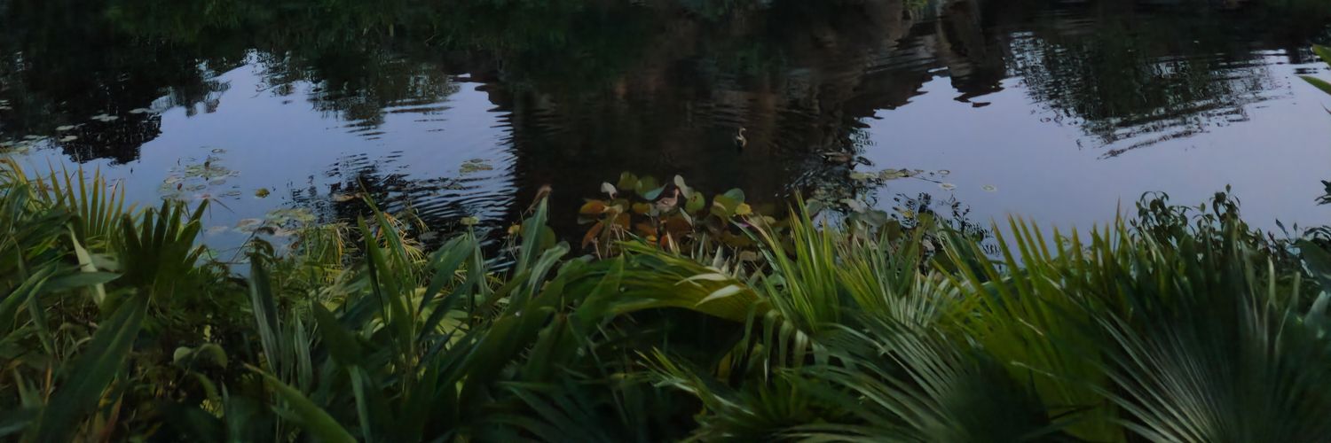 johnnynitross's profile banner image