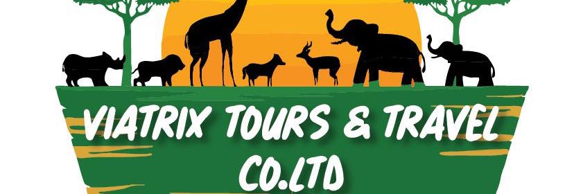 Nababi christine banner