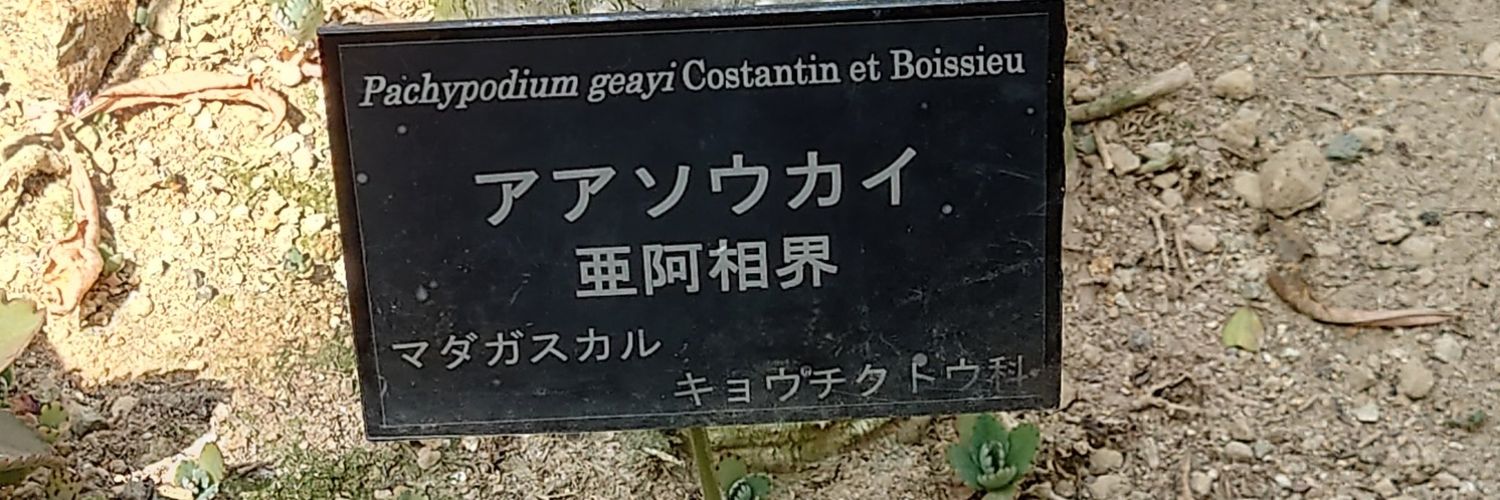 header image