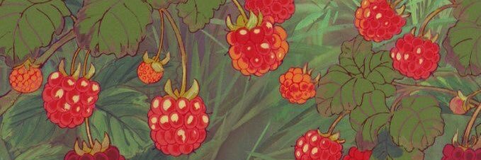 botanyfilth's profile banner image