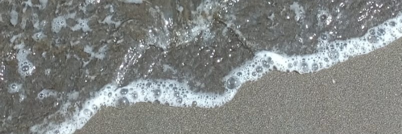 AN banner