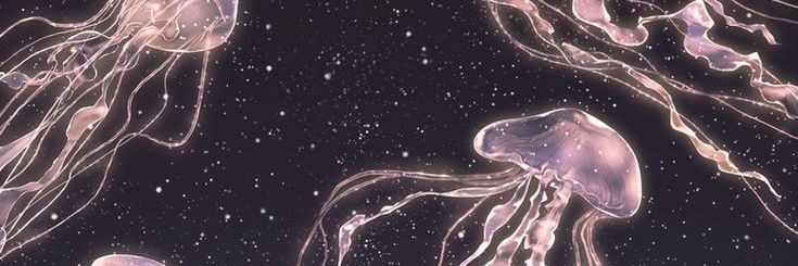 venta 𝜗𝜚 ⊙⊝⊜ banner