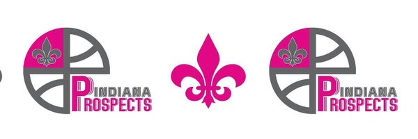 InProspects2029 Profile Banner