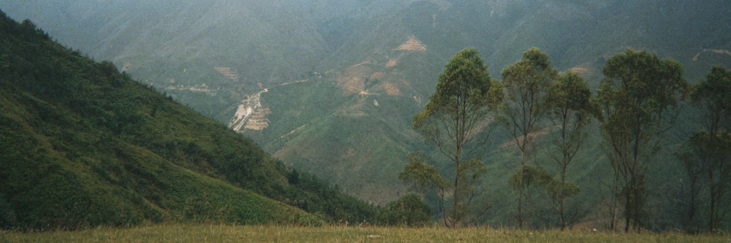 nểyuT banner