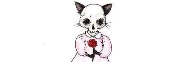 Princess_SurgT's profile banner image