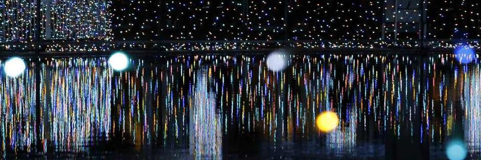 Austrian Cultural Forum Washington banner