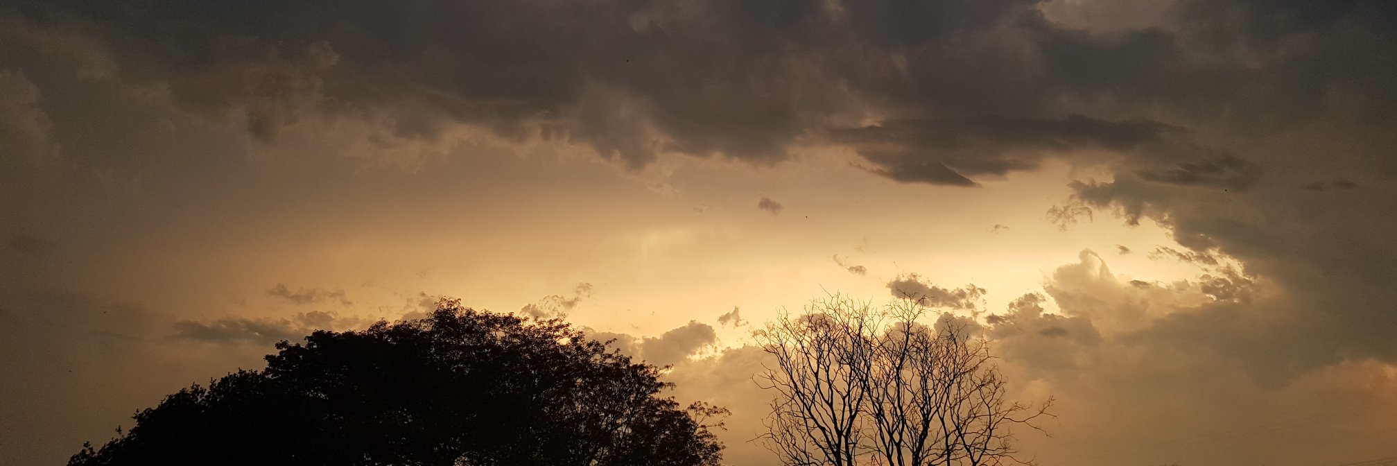 marceglx's profile banner image