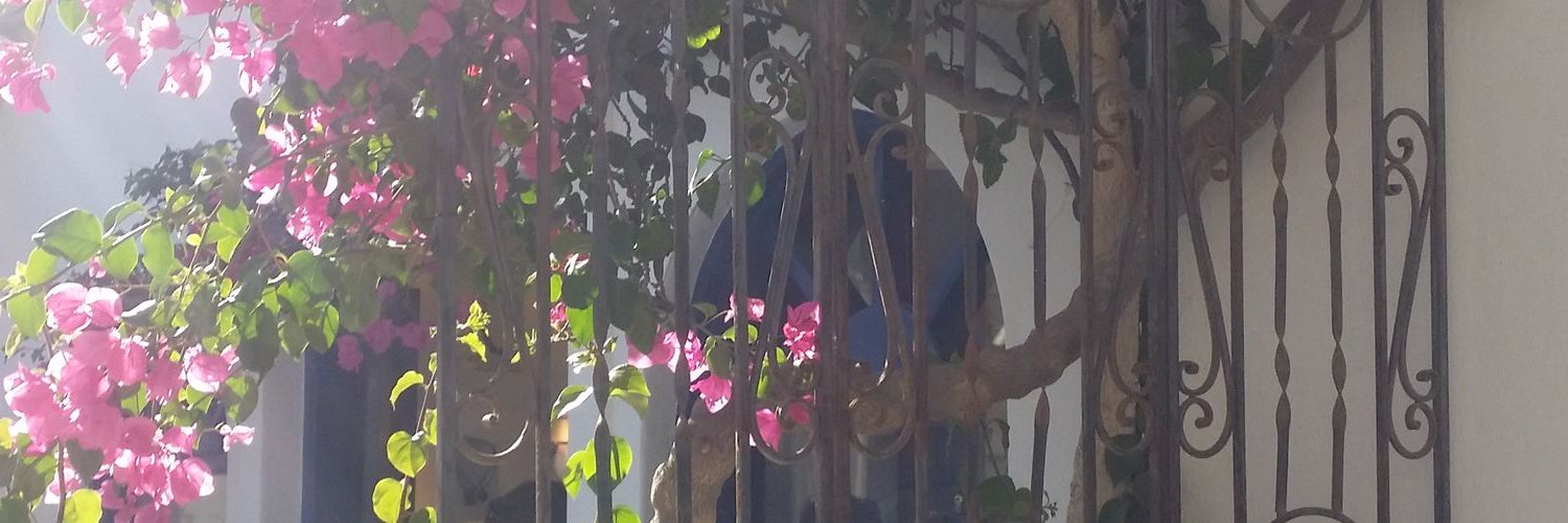 frenchypunch's profile banner image