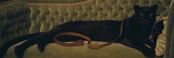 IvoryMali Profile Banner