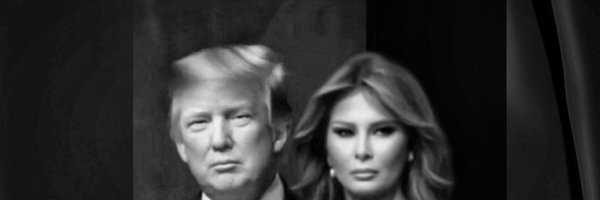 ChristineX2024 Profile Banner