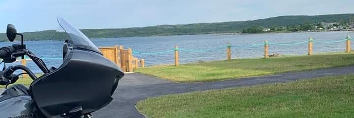 Mark.Kavanagh banner