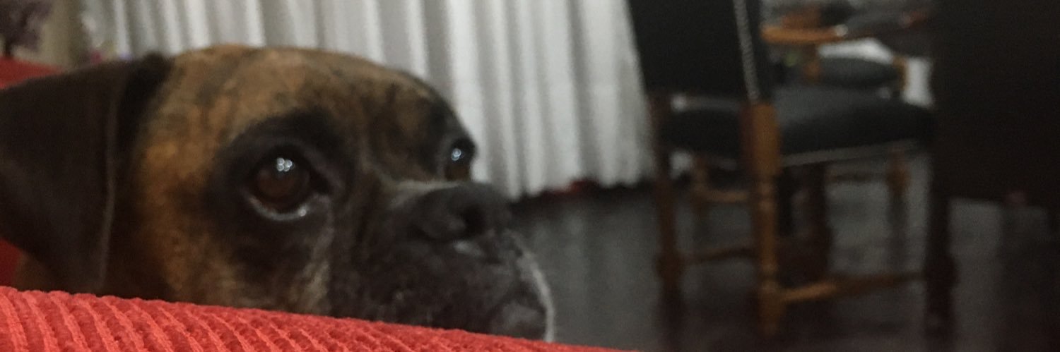 RodriiRivas's profile banner image