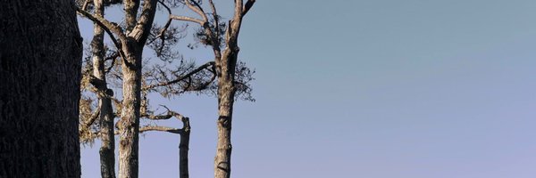 xiaopangzi72 Profile Banner