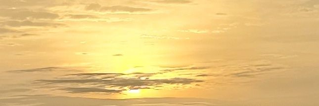 ของอร่อย banner