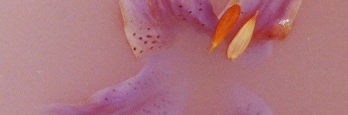 FeelFreeLikeAir's profile banner image