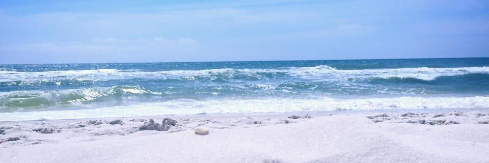 anna_carro's profile banner image
